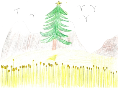 Martin Fernando, 10 años "Campo de trigo en Navidad"