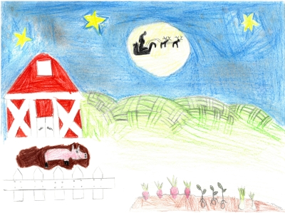Tomas Fernando, 9 años "La granja por la noche"